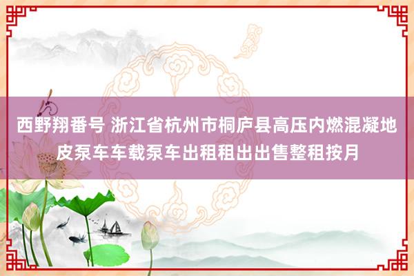 西野翔番号 浙江省杭州市桐庐县高压内燃混凝地皮泵车车载泵车出租租出出售整租按月